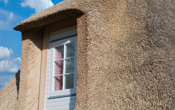 Townshend thatch roof disadvantages