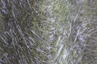 Townshend fibreglass roof work